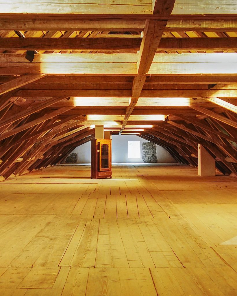 walter-frehner-CvuAuZGAYQ4-unsplash